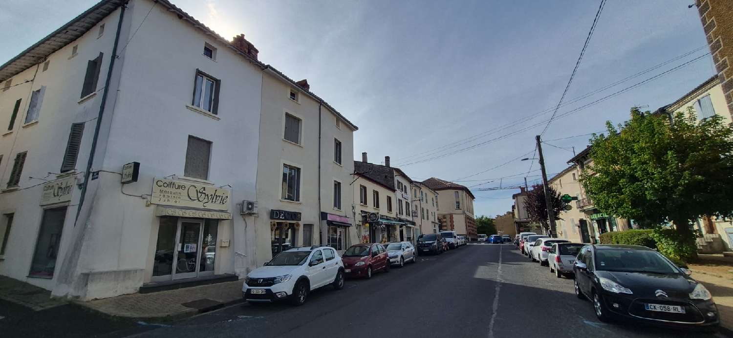 te koop huis Lezoux Puy-de-Dôme 8