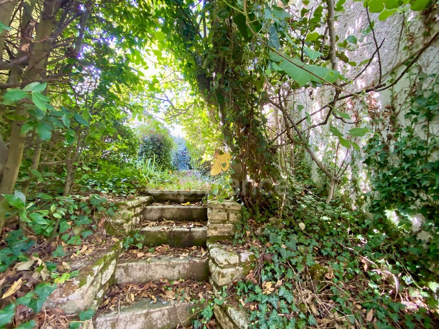 for sale house Ligugé Vienne 4