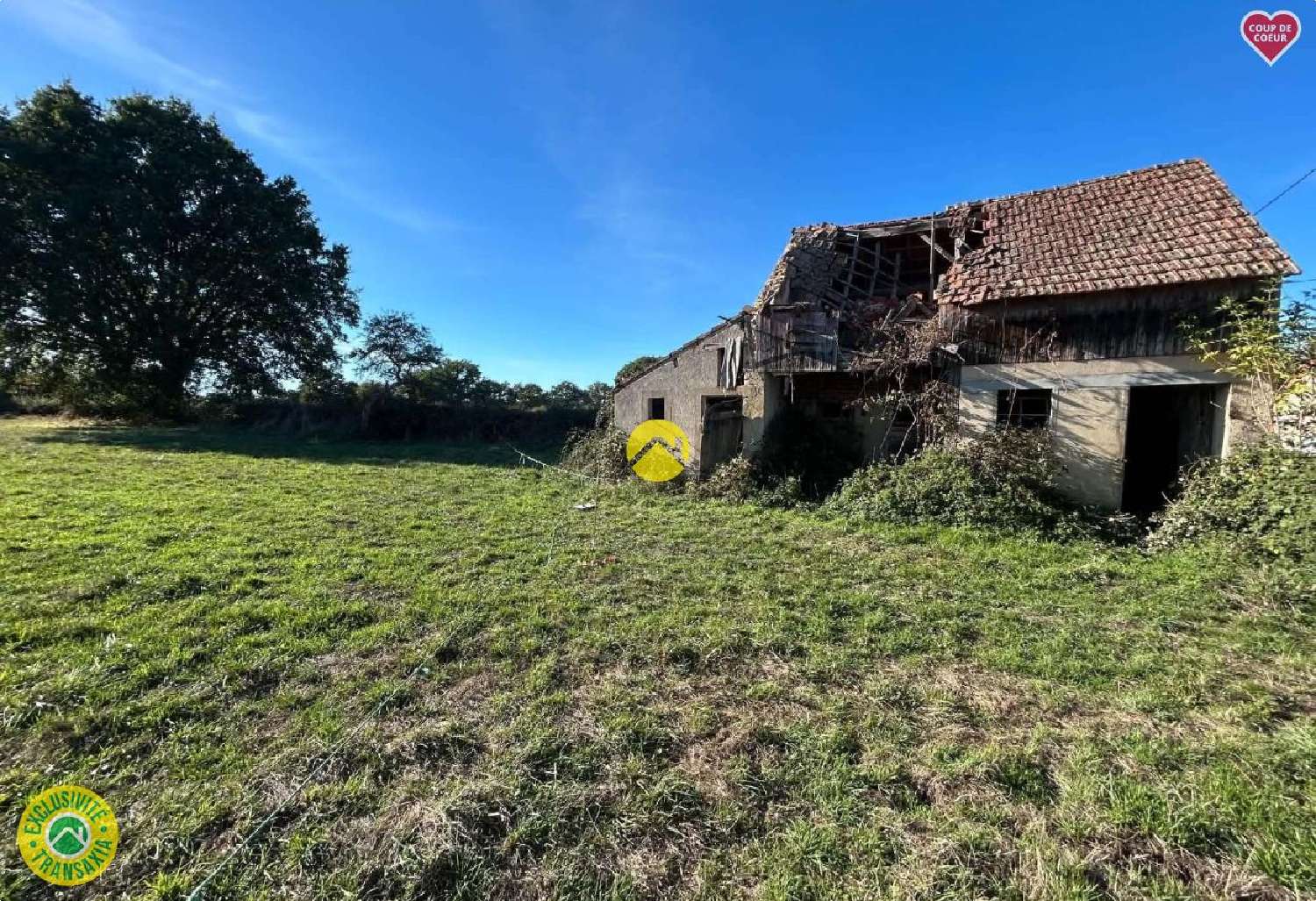 te koop huis Lurcy-Lévis Allier 3