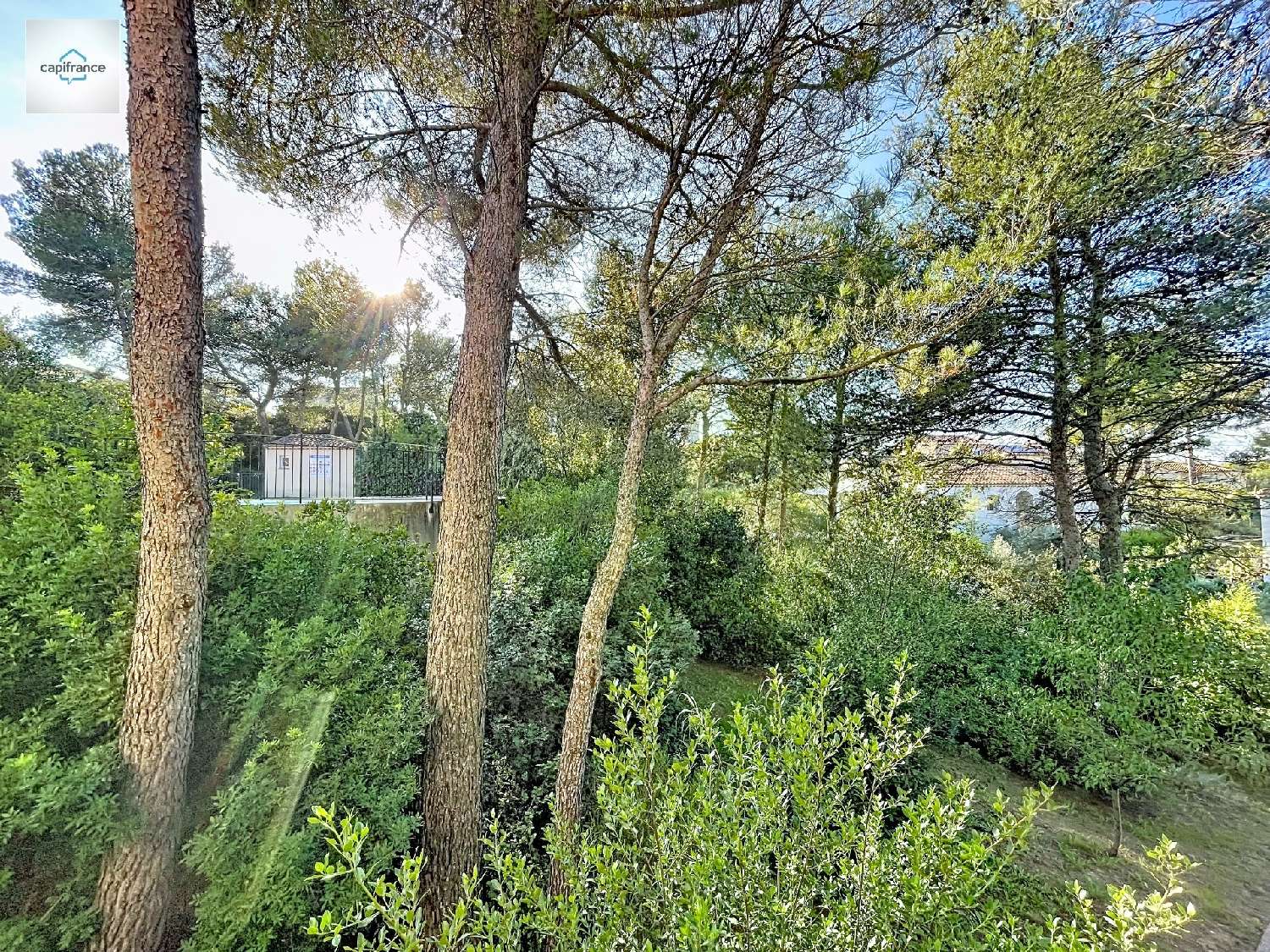  for sale house Mallemort Bouches-du-Rhône 3