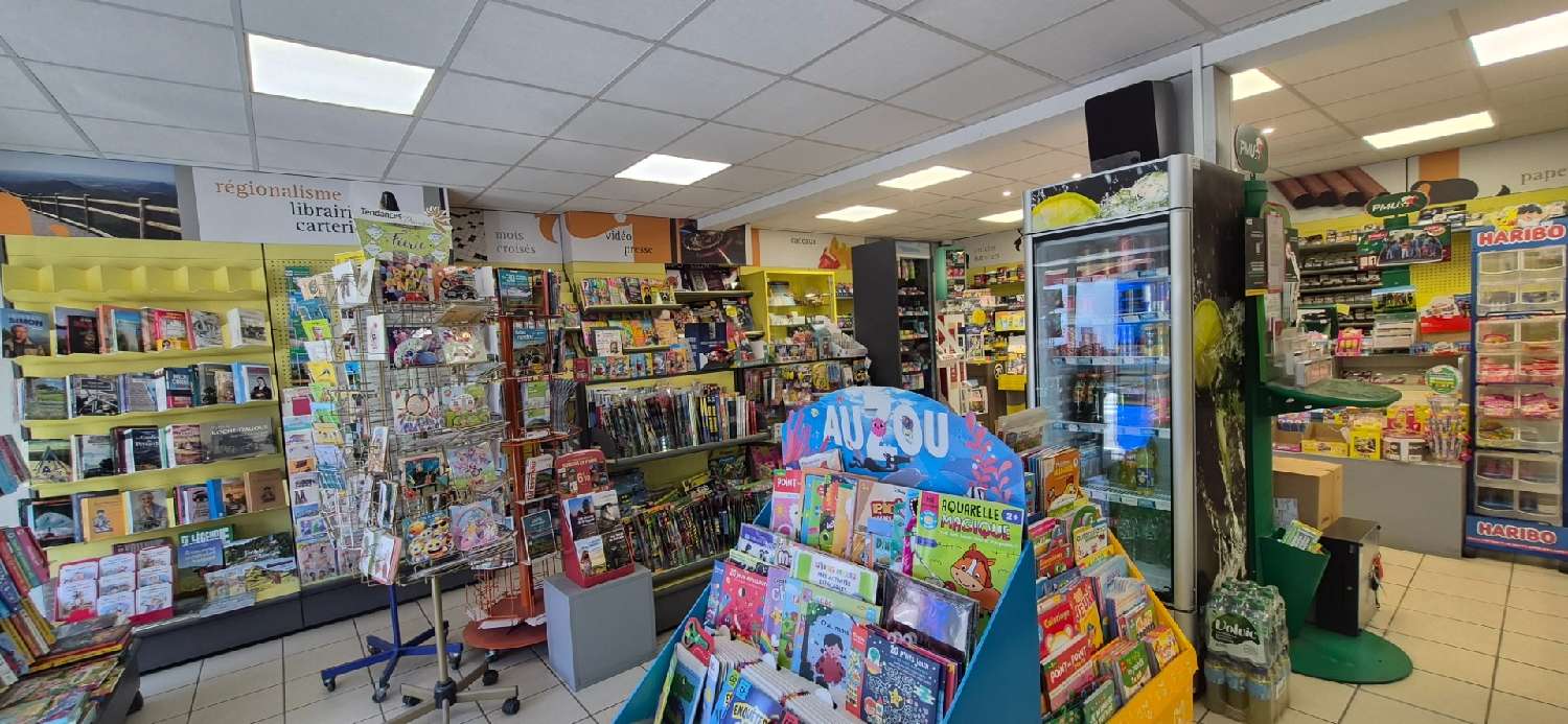 te koop huis Manzat Puy-de-Dôme 6