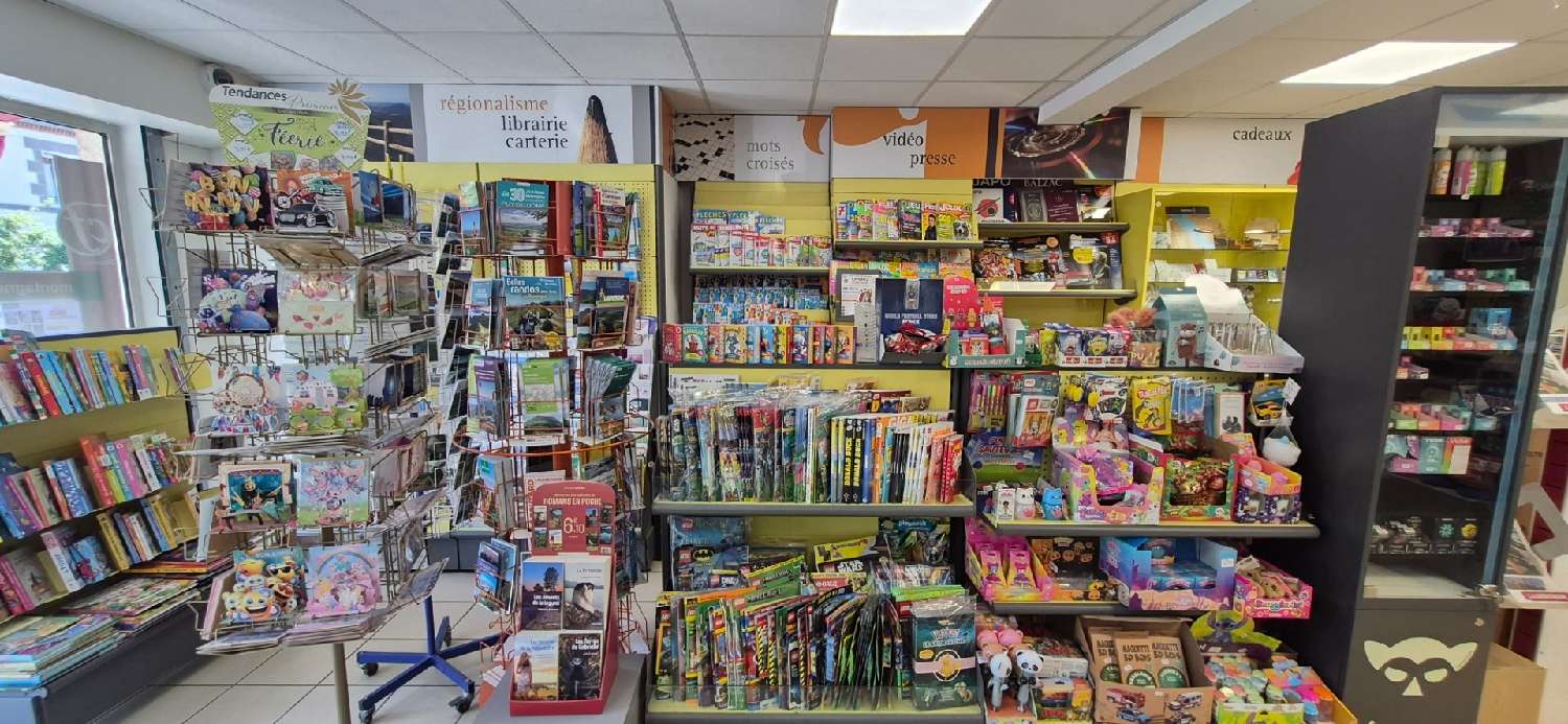 te koop huis Manzat Puy-de-Dôme 8