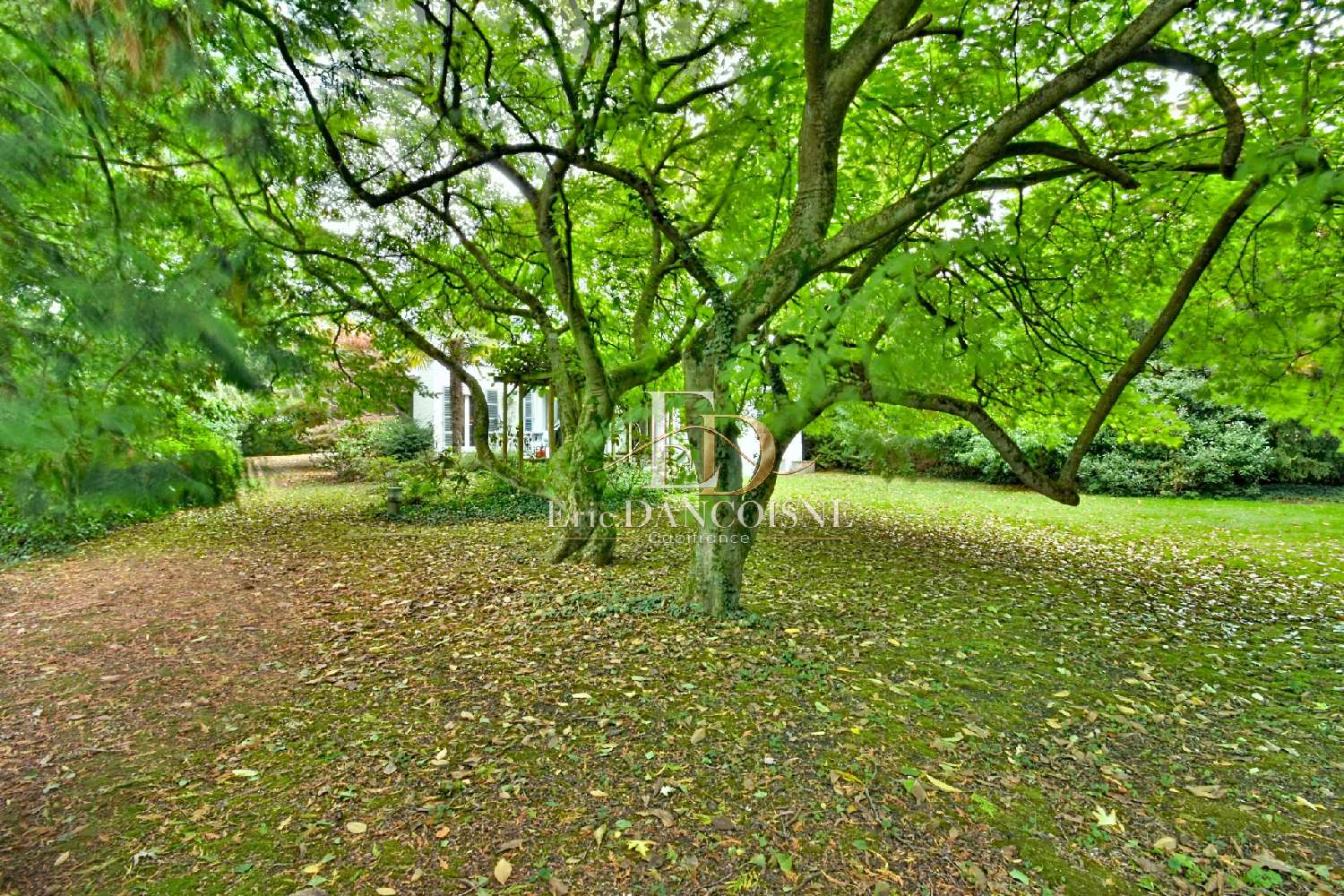 en venta casa Marcq-en-Baroeul Nord 2