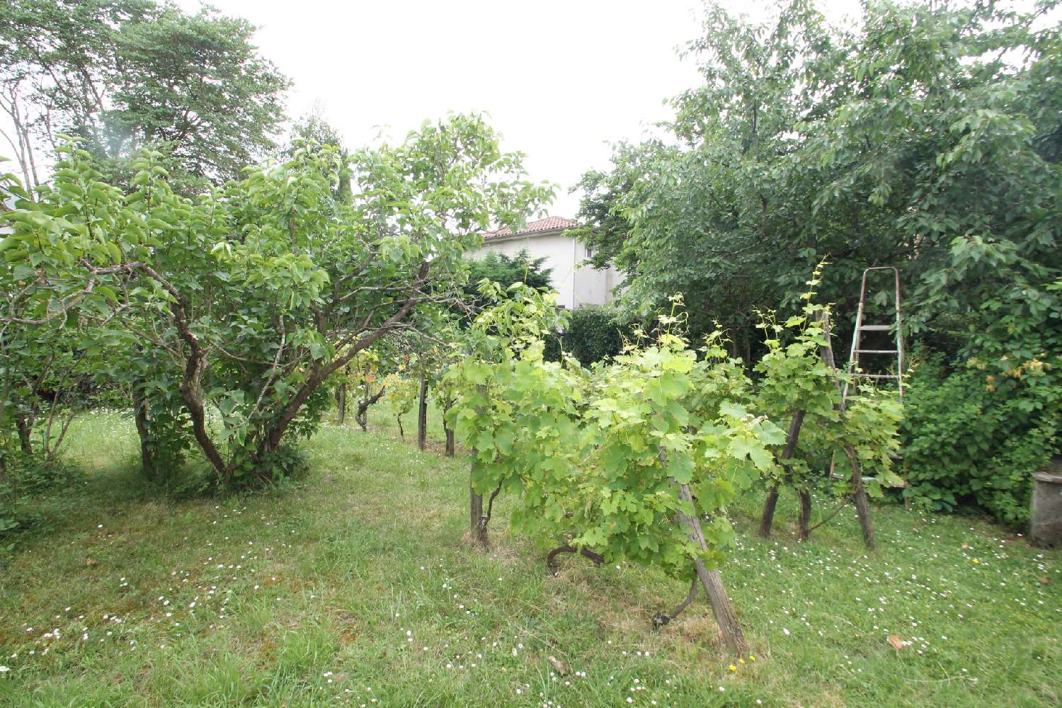  à vendre maison Marmande Lot-et-Garonne 5
