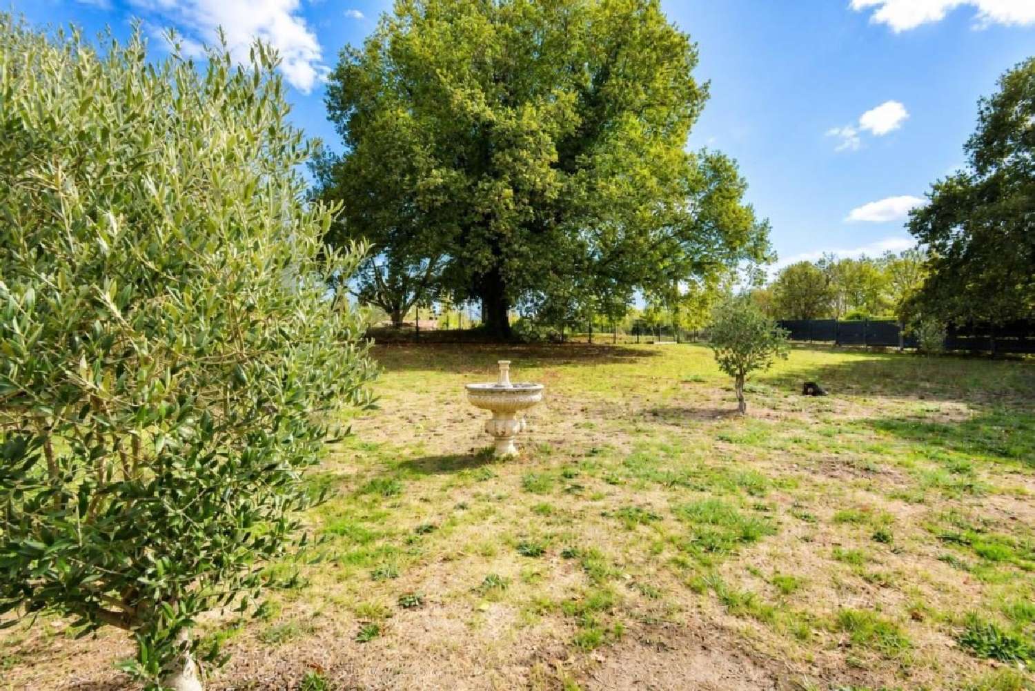 for sale house Ménesplet Dordogne 4