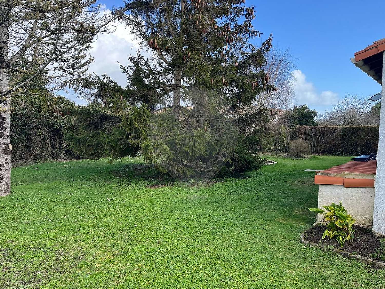  à vendre maison Meschers-sur-Gironde Charente-Maritime 8