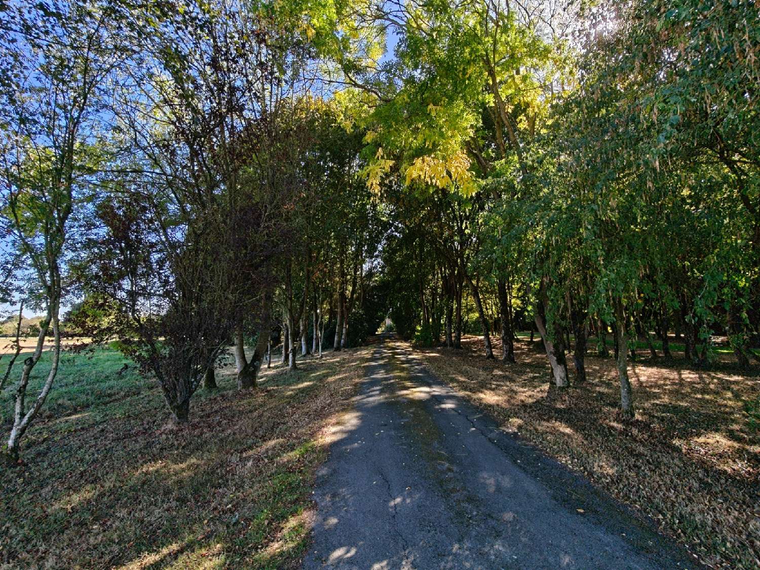 for sale house Montauban-de-Bretagne Ille-et-Vilaine 1