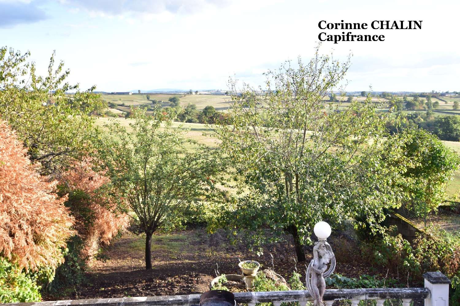  for sale house Montcombroux-les-Mines Allier 2
