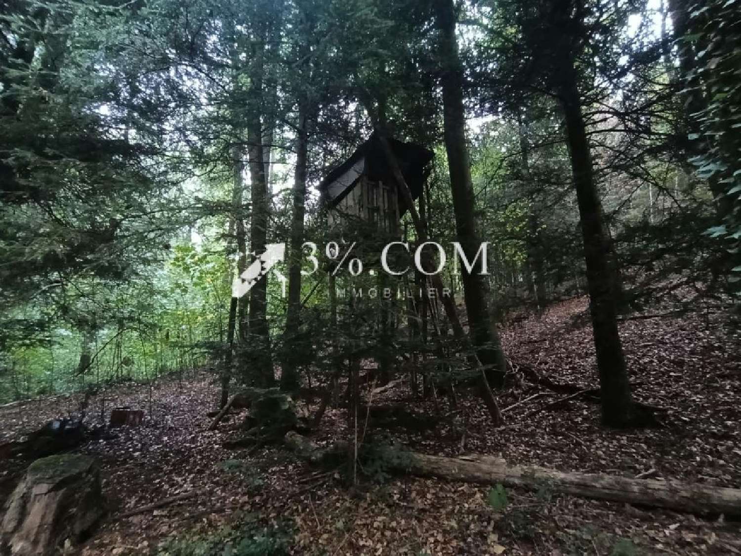 à vendre maison Moyenmoutier Vosges 3