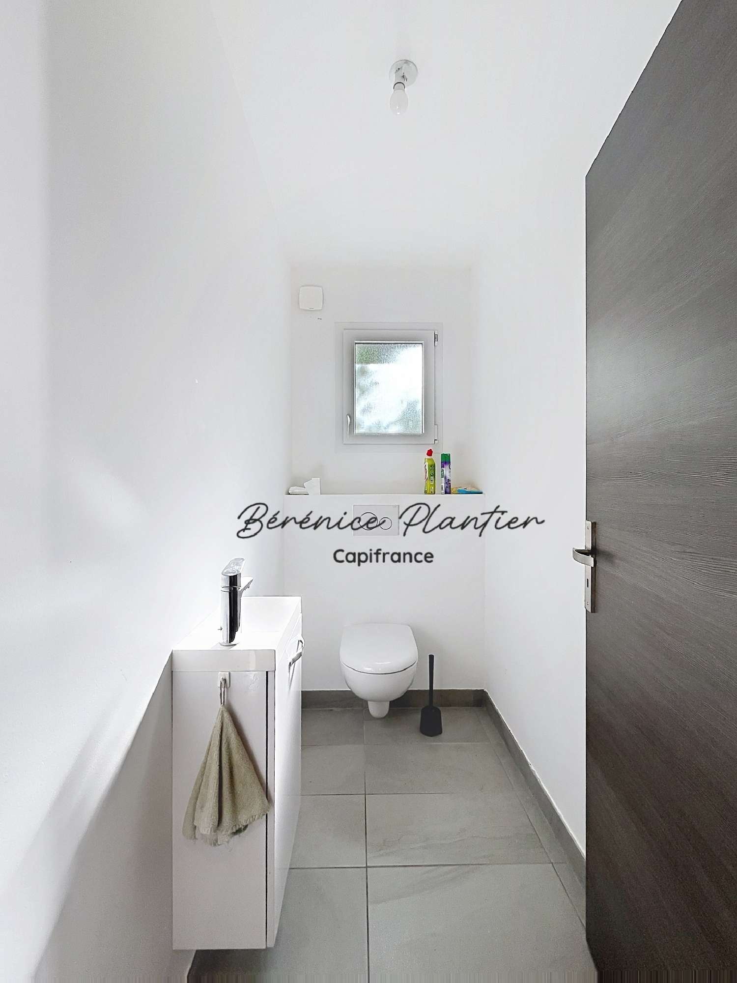 for sale house Nangy Haute-Savoie 7