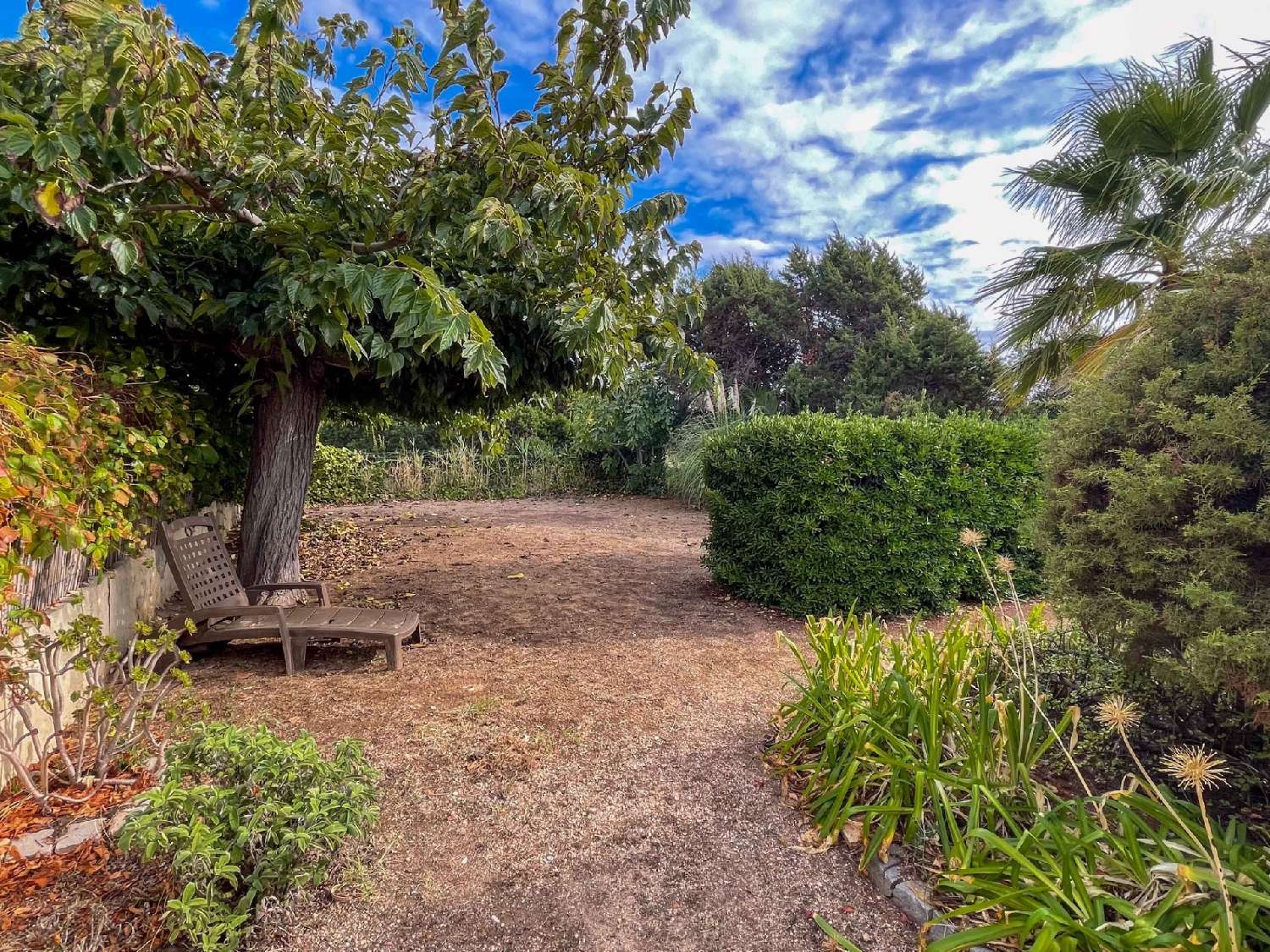 en venta casa Olmeto Corse-du-Sud 4