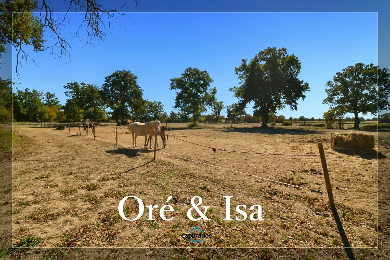 for sale house Orcenais Cher 1