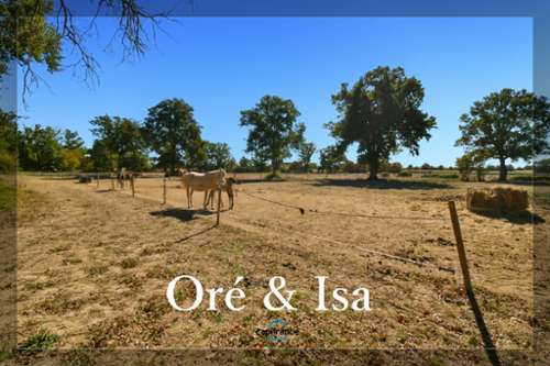 Orcenais Cher house foto 7420192