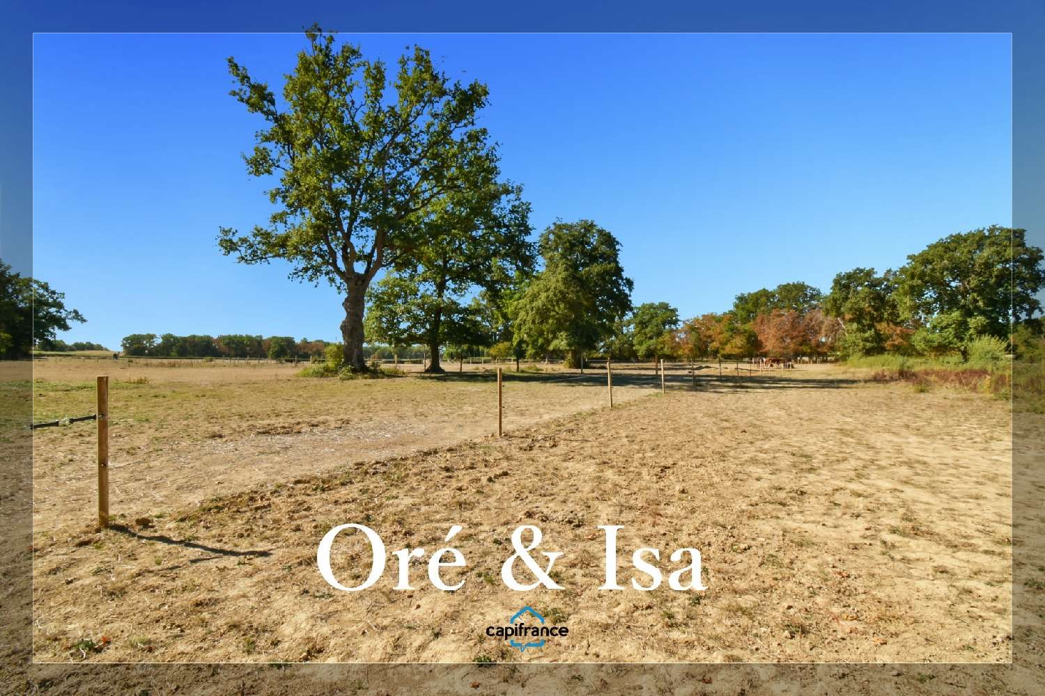 for sale house Orcenais Cher 2