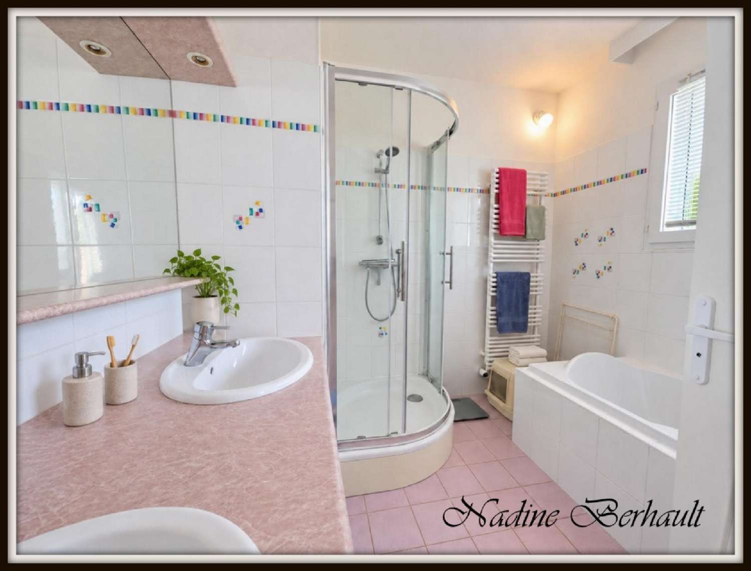 for sale house Paucourt Loiret 6