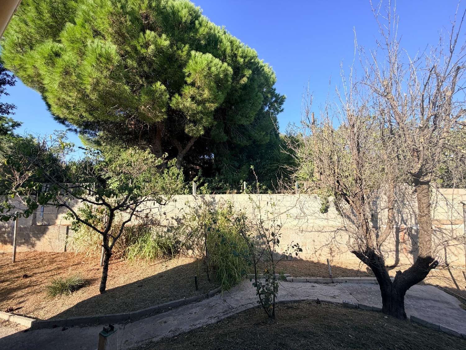 en venta casa Pérols Hérault 7