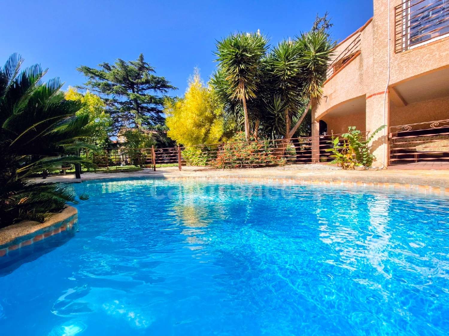 à vendre maison Perpignan Pyrénées-Orientales 4