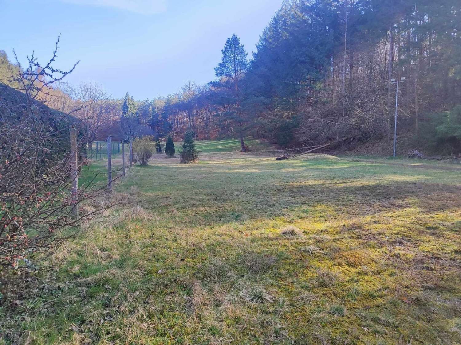  for sale house Philippsbourg Moselle 3