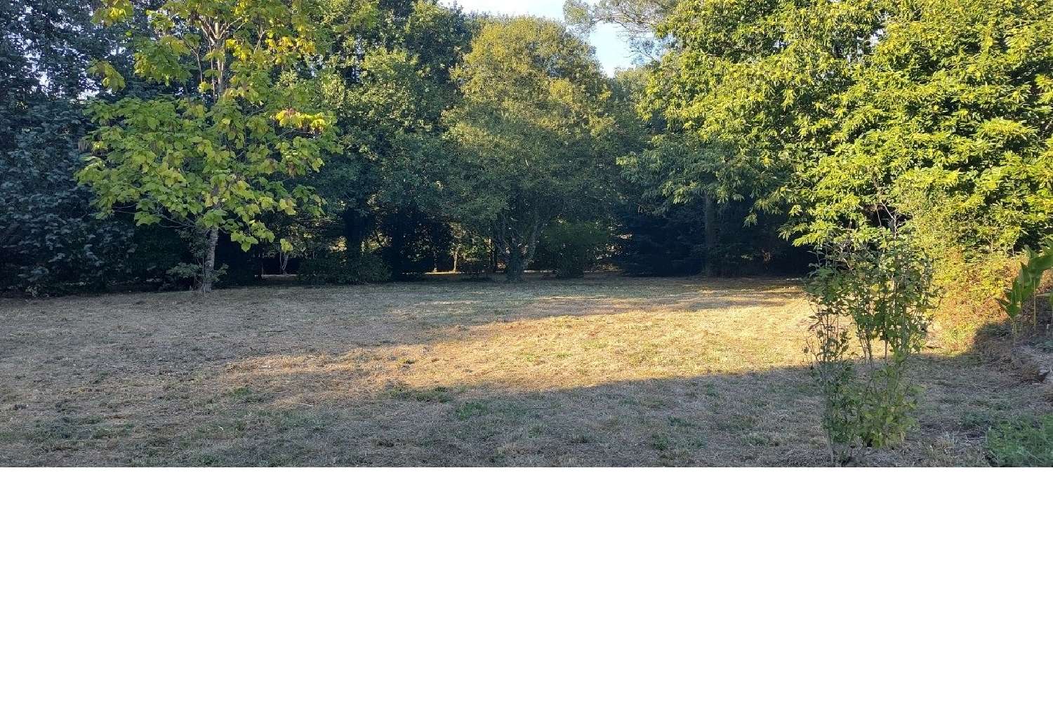 te koop huis Ploërdut Morbihan 3