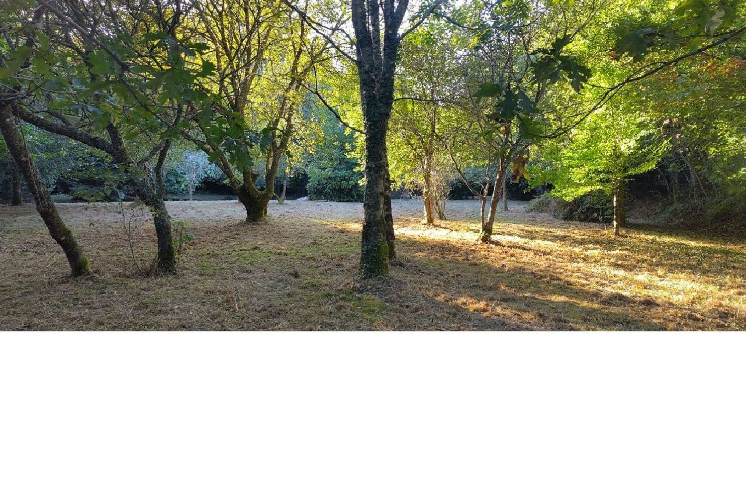 te koop huis Ploërdut Morbihan 4