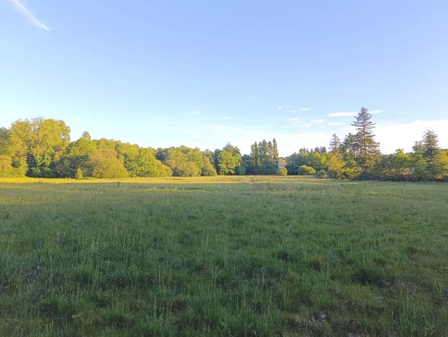 te koop huis Ploërdut Morbihan 5