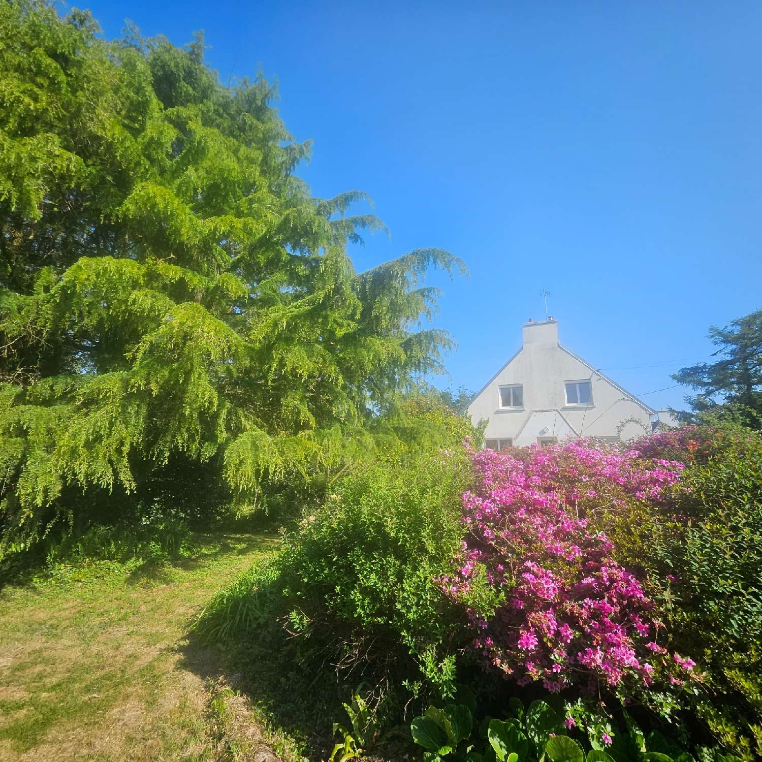 for sale house Plogastel-Saint-Germain Finistère 3