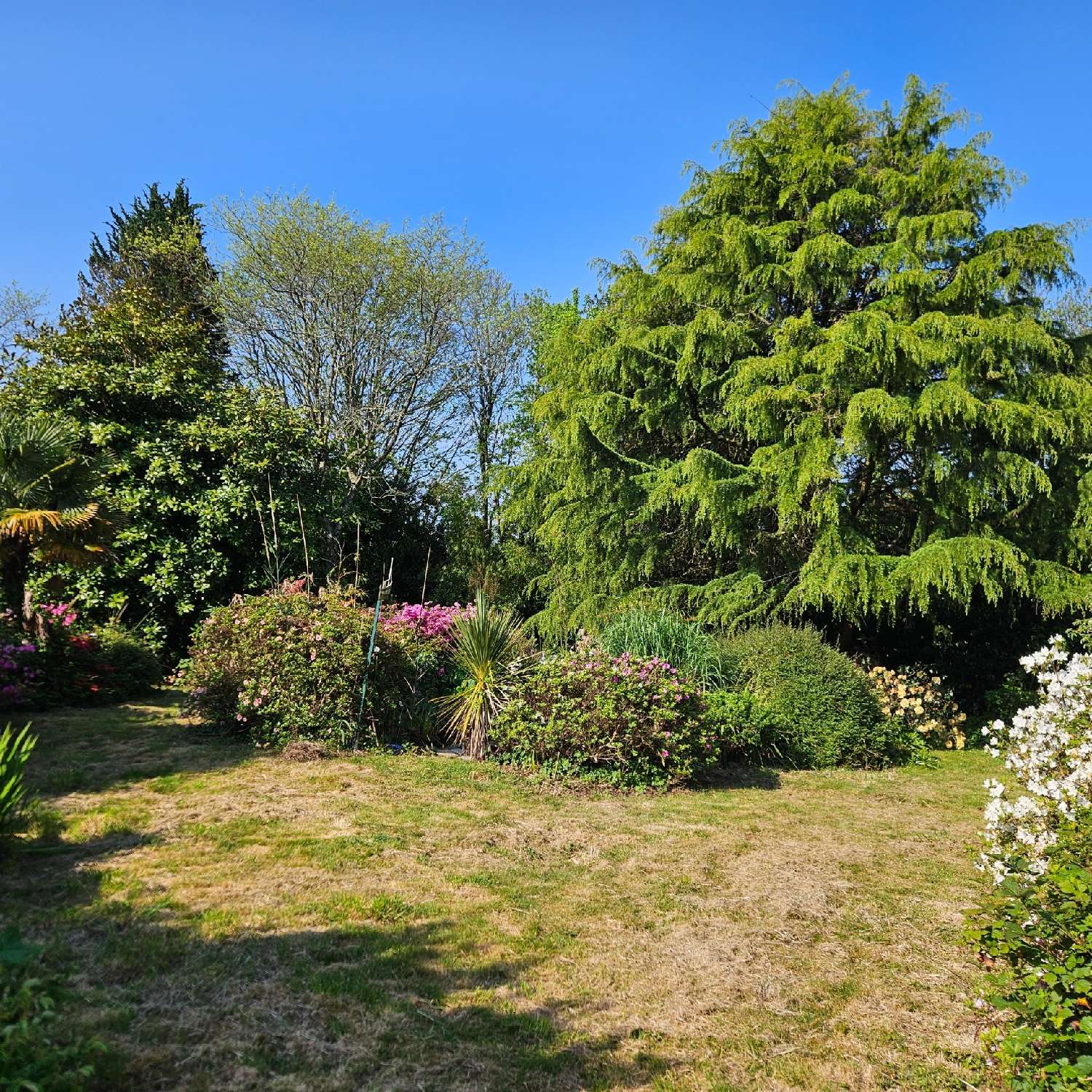 for sale house Plogastel-Saint-Germain Finistère 7