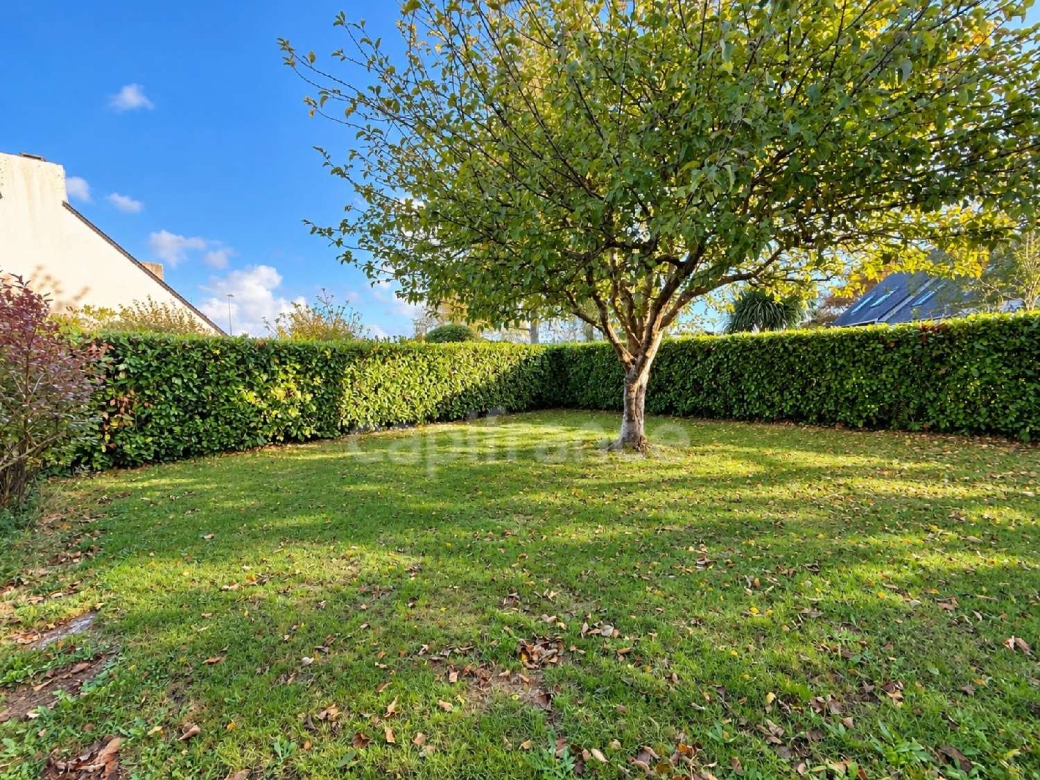 en venta casa Plougastel-Daoulas Finistère 4