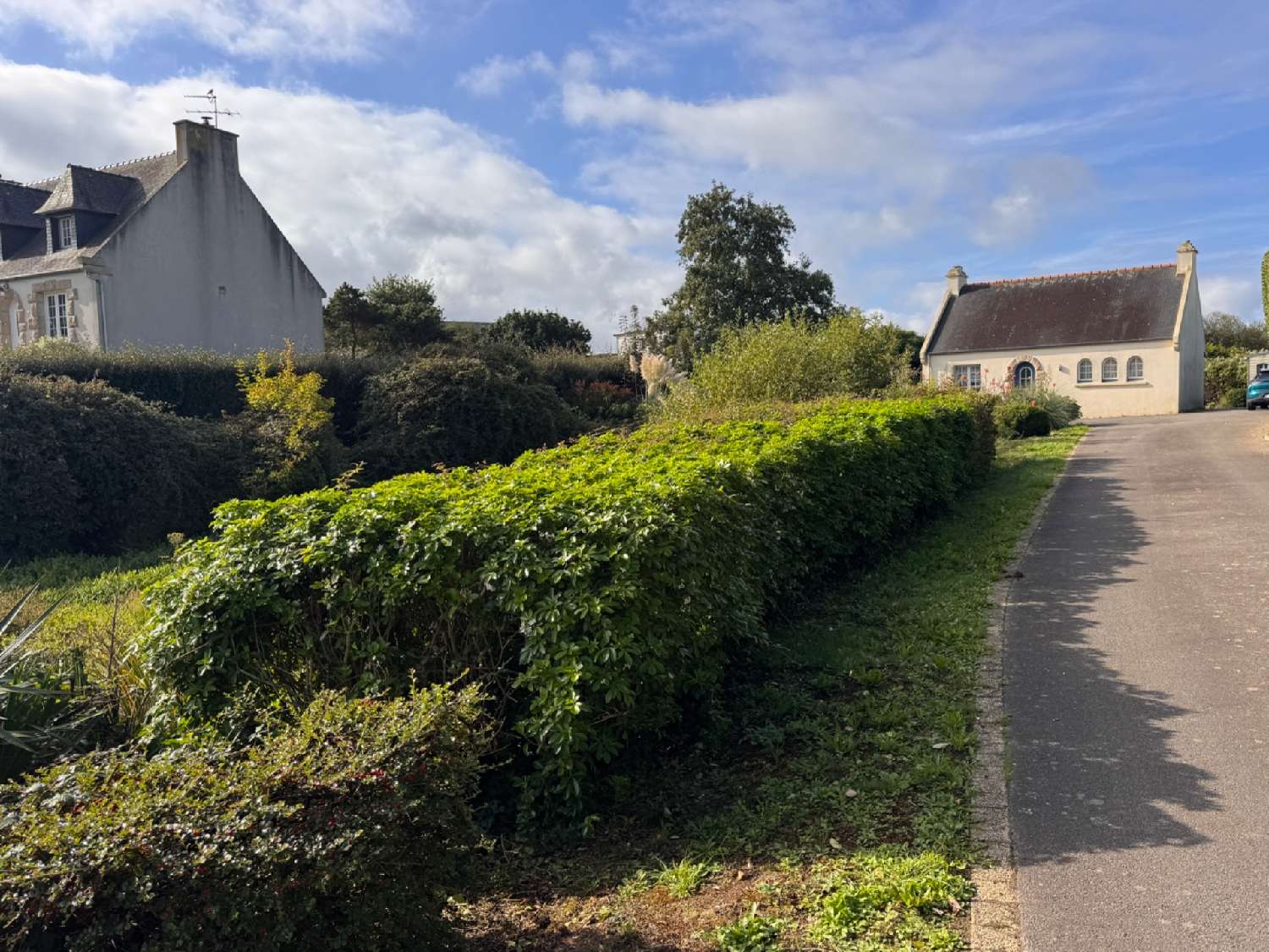 te koop huis Plouguin Finistère 2