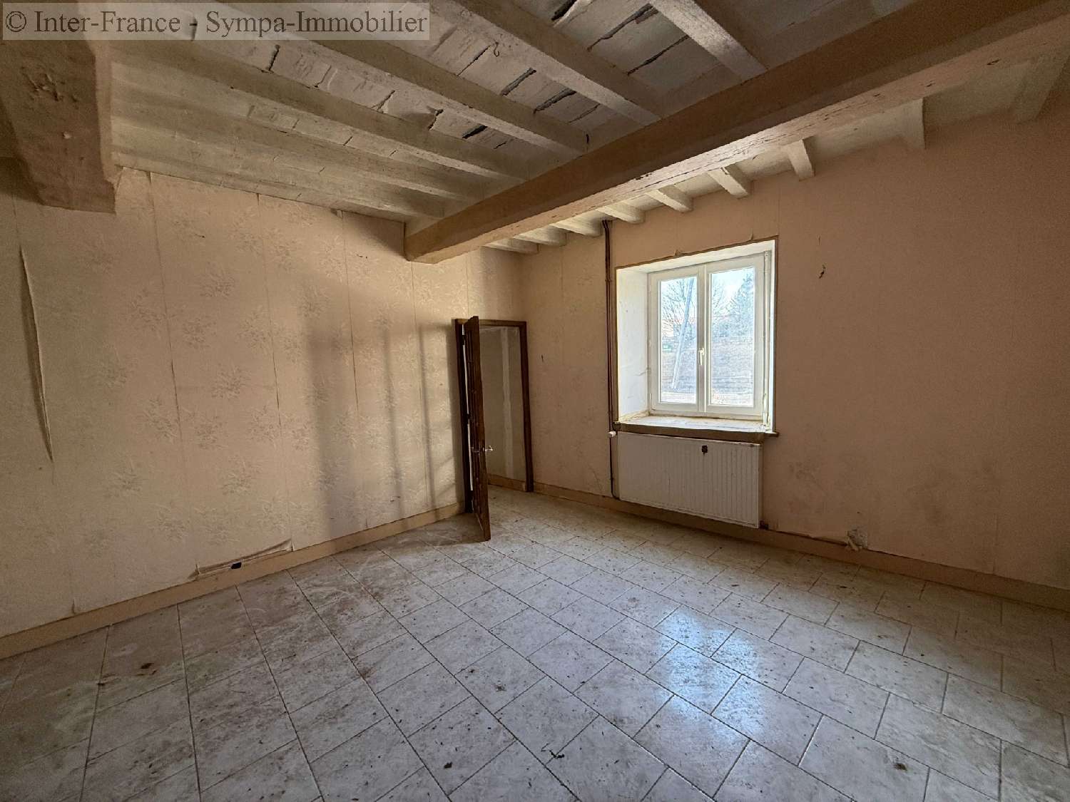 à vendre maison Pont-la-Ville Haute-Marne 3