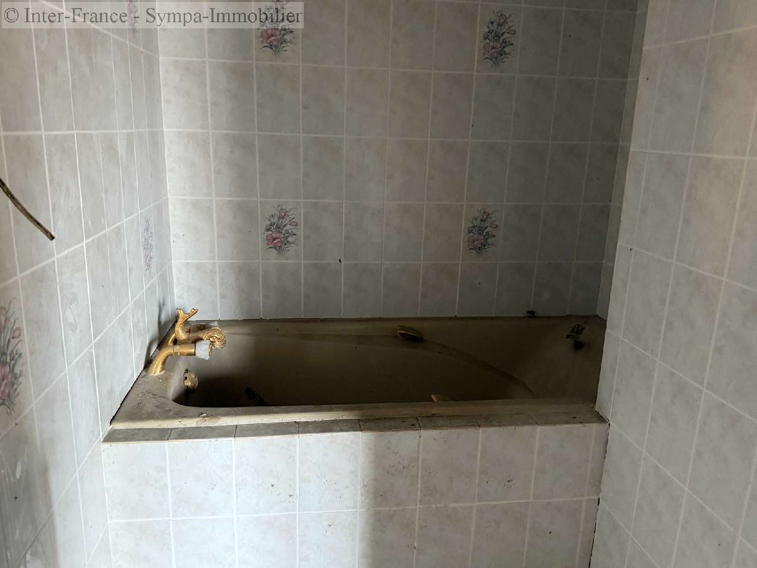 à vendre maison Pont-la-Ville Haute-Marne 5