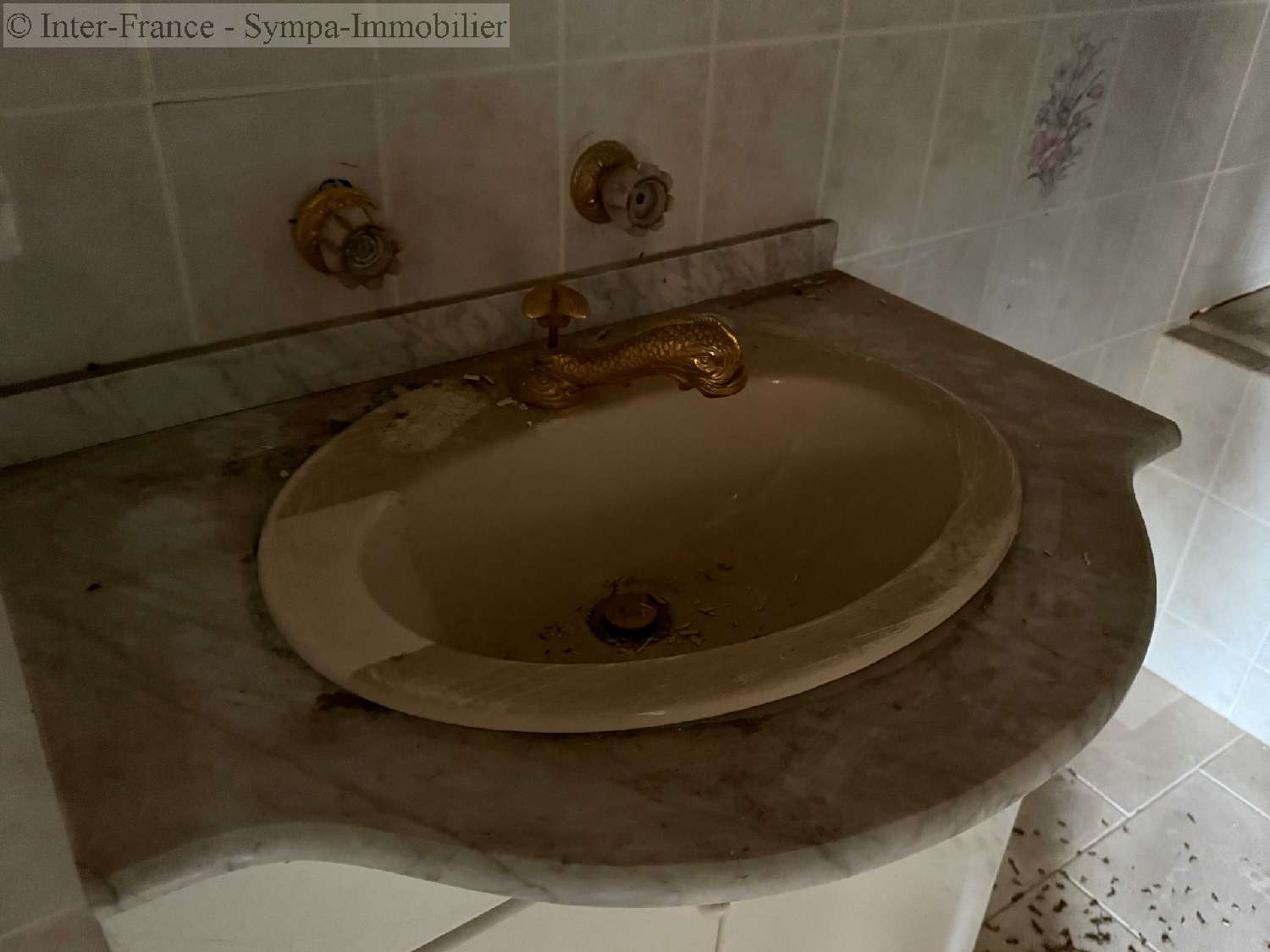 à vendre maison Pont-la-Ville Haute-Marne 8