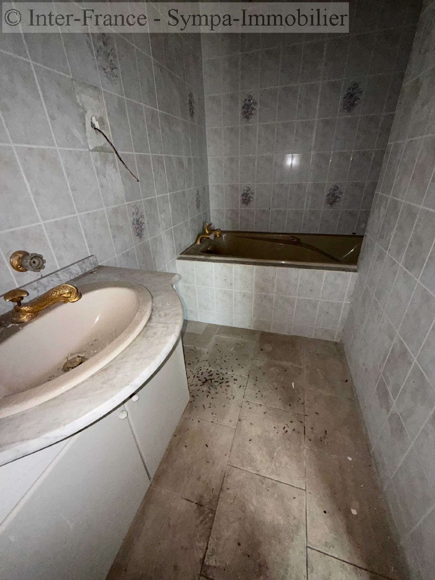 à vendre maison Pont-la-Ville Haute-Marne 9