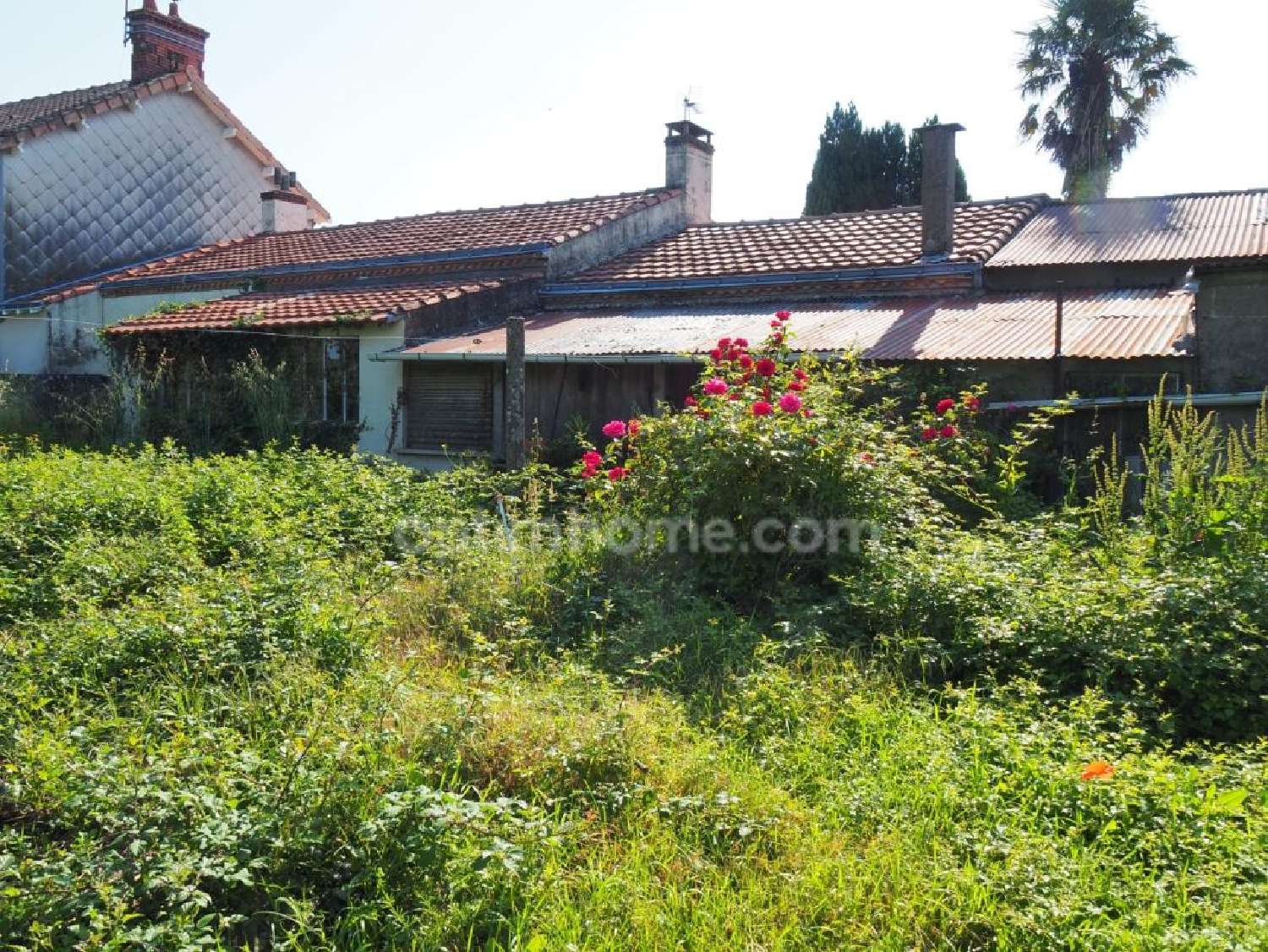 for sale house Port-Saint-Père Loire-Atlantique 3