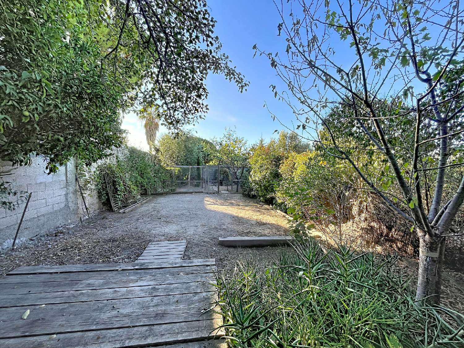 en venta casa Pouzolles Hérault 8