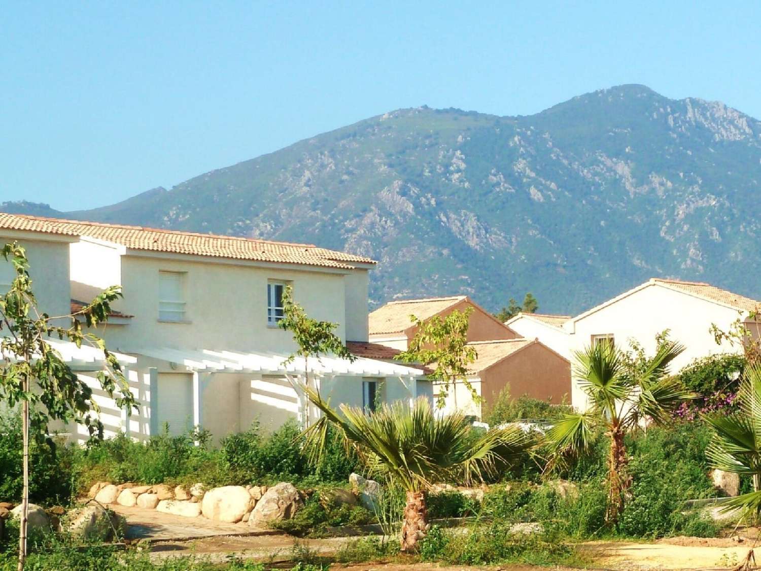 kaufen Haus Prunete Haute-Corse 1