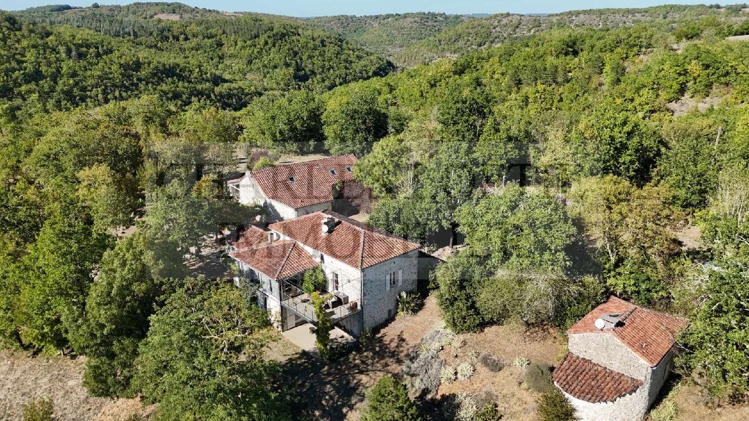  à vendre maison Puy-l'Évêque Lot 1