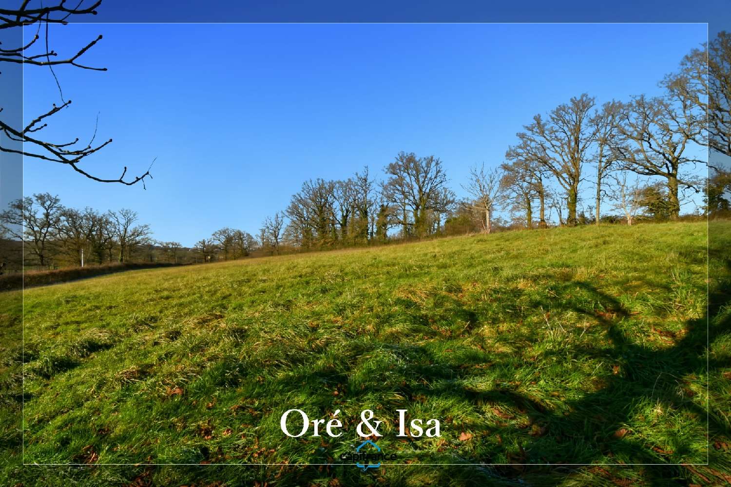  for sale house Reigny Cher 1