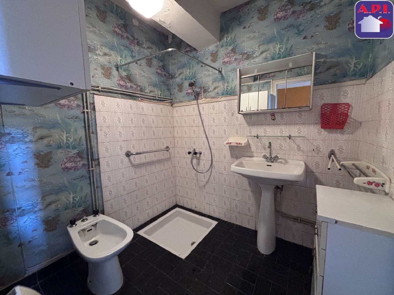  à vendre maison Roquefeuil Aude 8