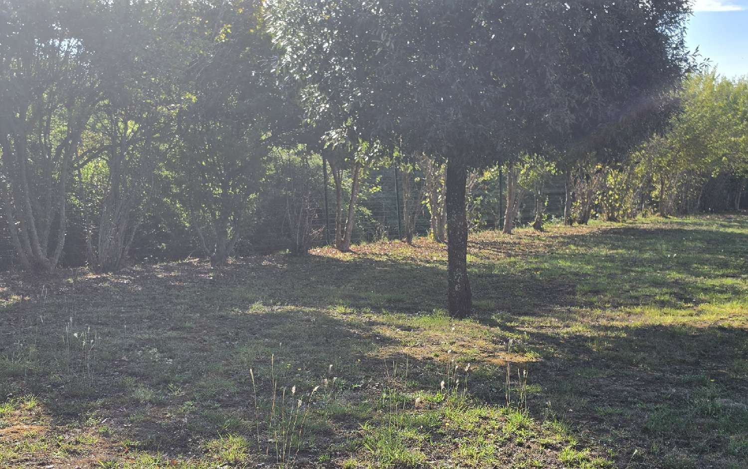 en venta casa Ruoms Ardèche 3