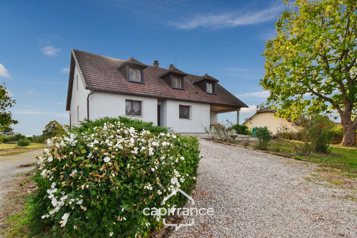 for sale house Saillenard Saône-et-Loire 7