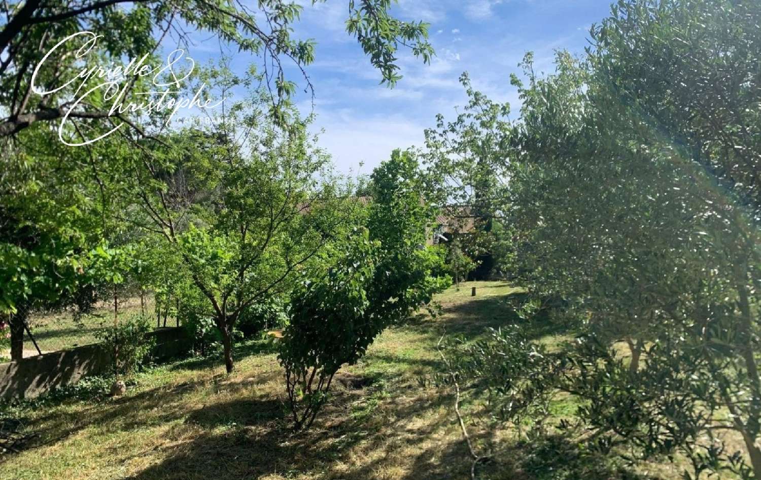  te koop huis Saint-André-de-Sangonis Hérault 4