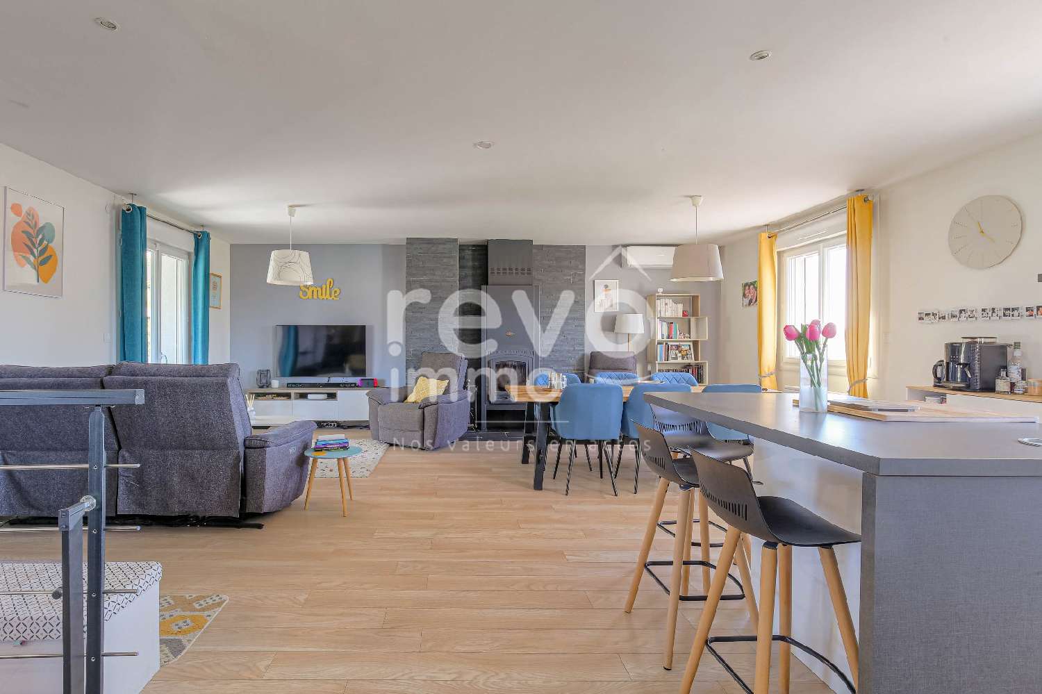 à vendre maison Saint-André-de-Corcy Ain 4