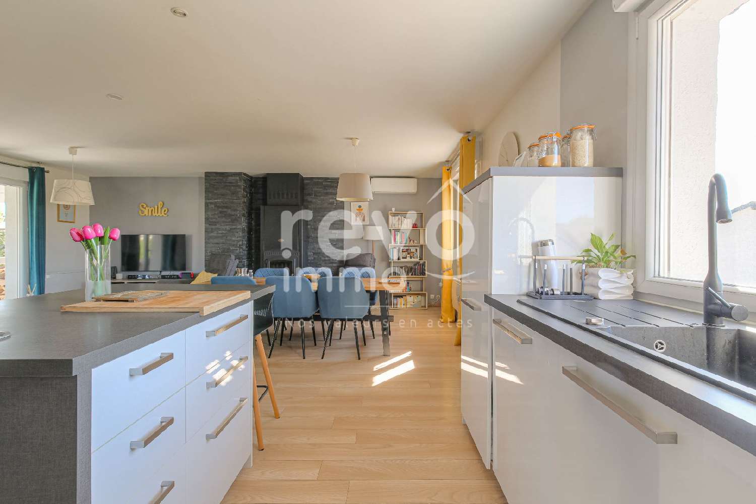 à vendre maison Saint-André-de-Corcy Ain 6