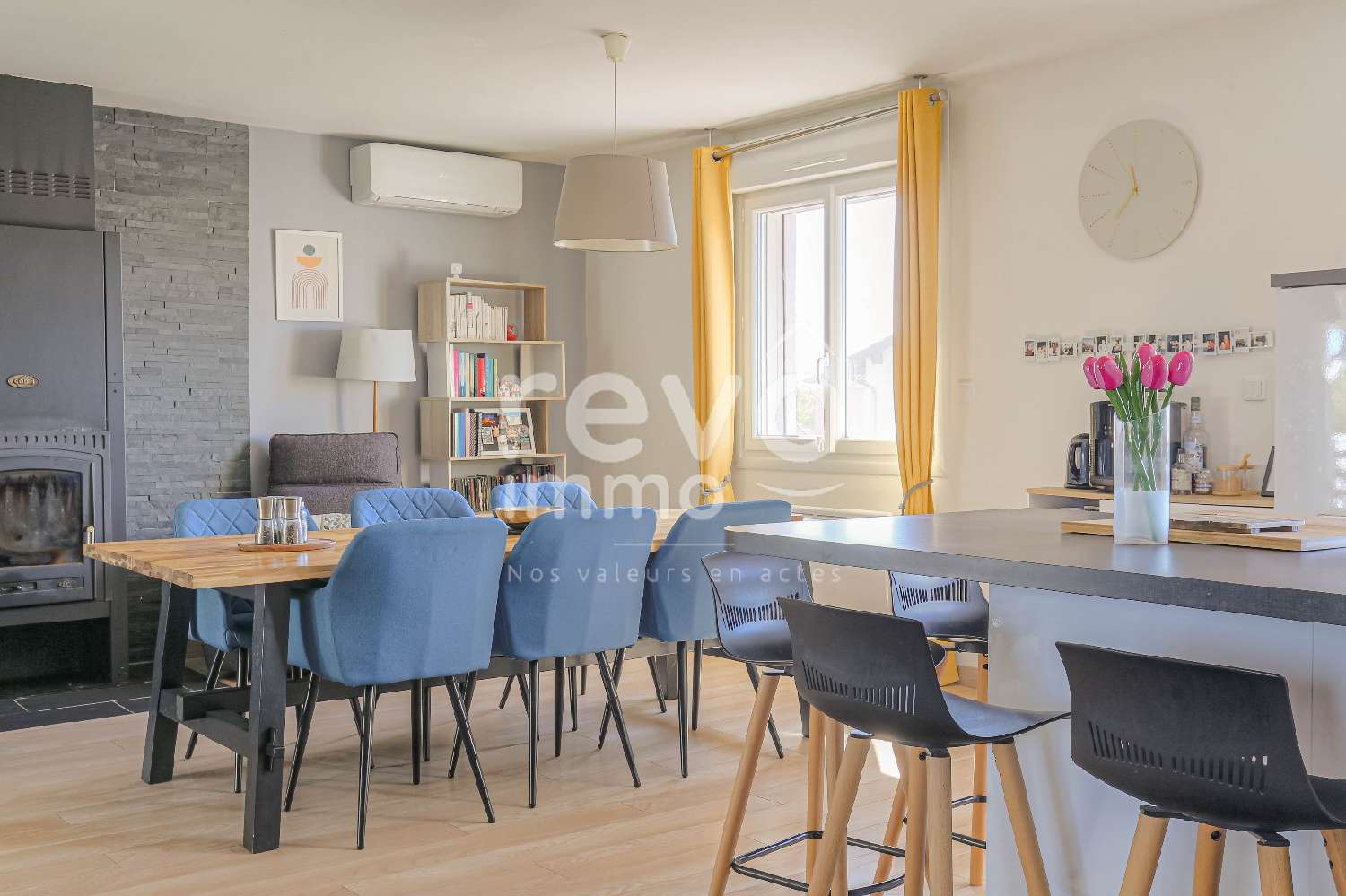 à vendre maison Saint-André-de-Corcy Ain 7