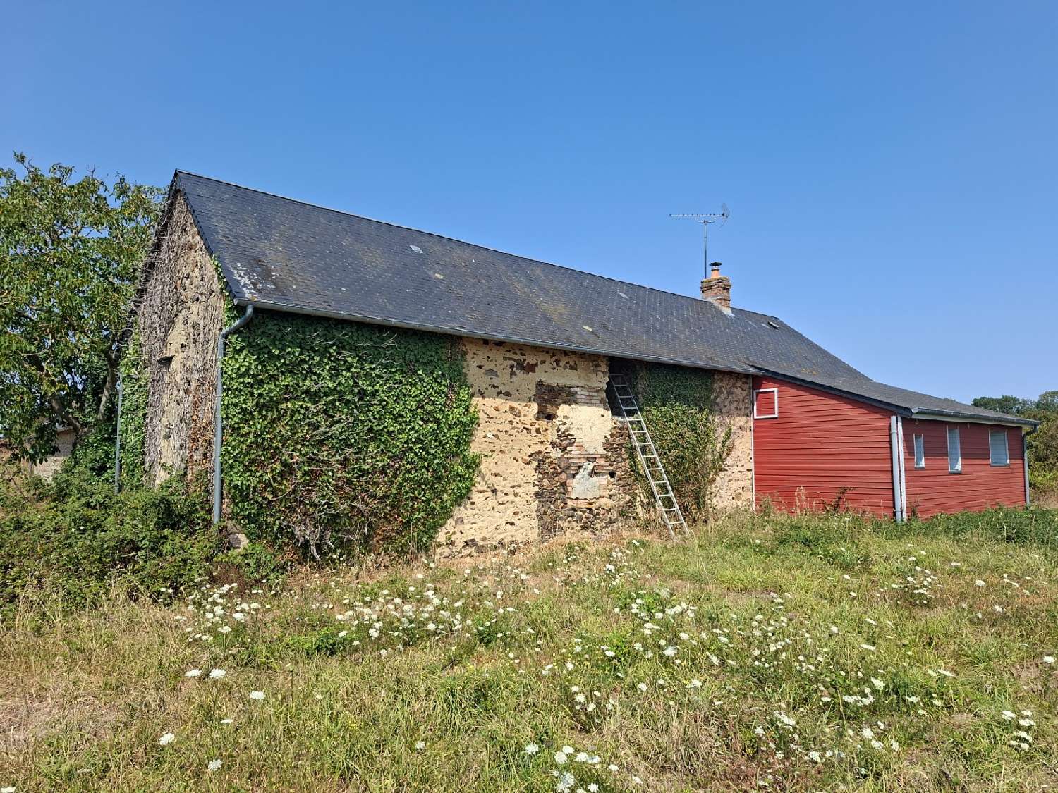  for sale house Saint-Aubin-de-Locquenay Sarthe 8