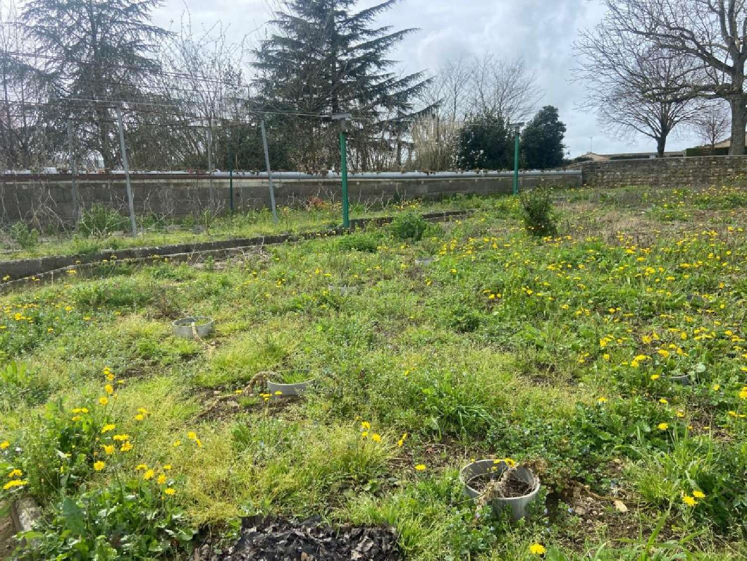 en venta casa Saint-Aubin-la-Plaine Vendée 2
