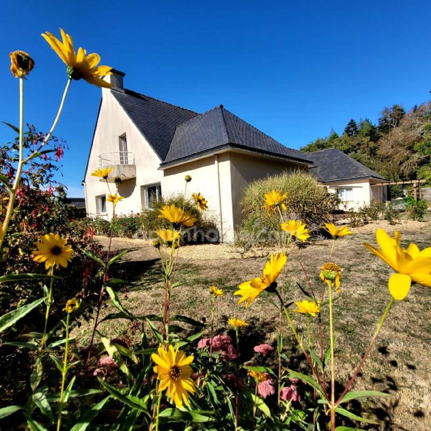  à vendre maison Saint-Avé Morbihan 7