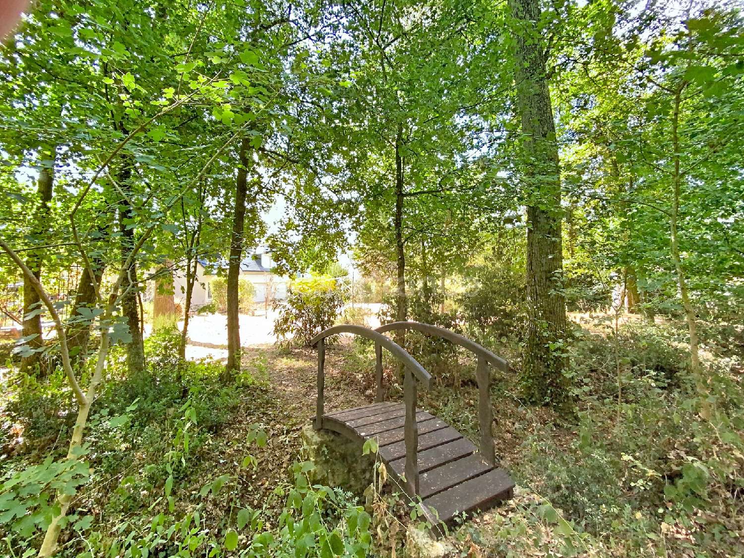  te koop huis Saint-Avertin Indre-et-Loire 3