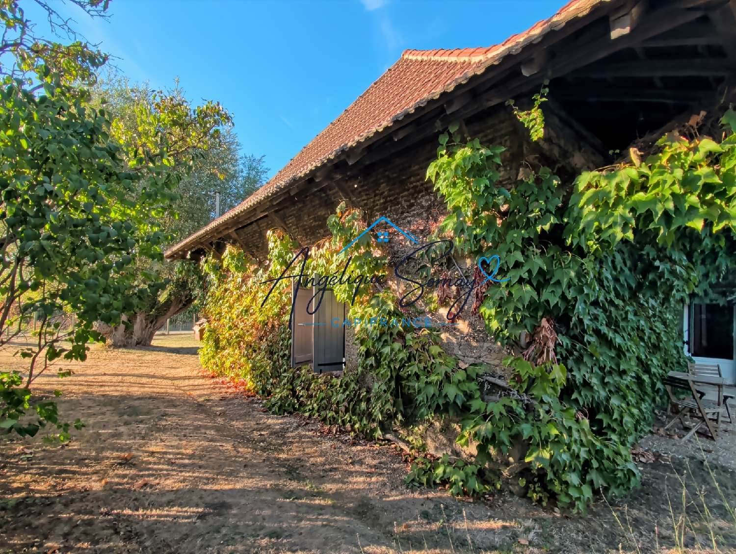  à vendre maison Saint-Bonnet-en-Bresse Saône-et-Loire 2